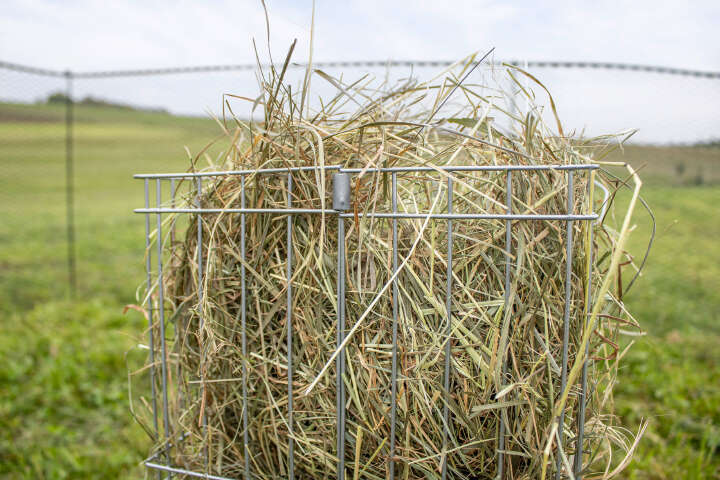 KERBL Kleintier-Raufe